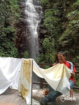 Makin Elastis Pakai Malam Palm Stearin