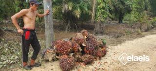 Ranah Minang Tinggi Seangin