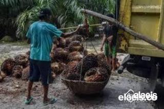Pengusaha RAM Diminta Mengurus Izin, Kalau Bandel Sanksi Menanti