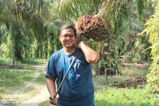 Menyoal Turunnya Indeks K Produksi Sawit di Riau
