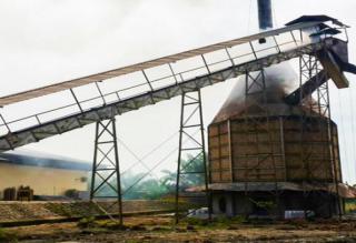 Harga TBS Sawit Turun, Pengamat: Sangat Tidak Wajar