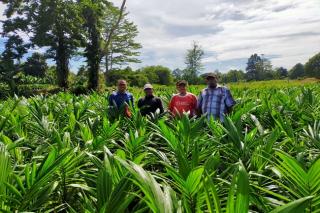 Undang Gulat dan Rino, Petani Sawit Papua akan Meriung Pekan Depan