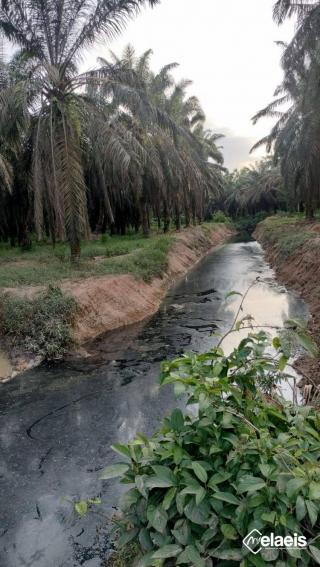 Dua Sungai di Rohul Diduga Tercemar, Tim DLH segera Turun ke Lapangan