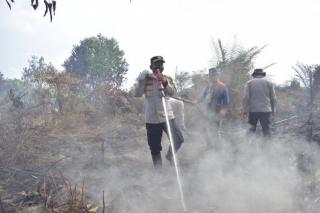 Kebun Sawit Ikut Terbakar Saat Karhutla Landa Ratusan Hektar Lahan di Inhut