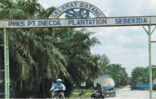 Harga Kernel di Riau Naik, Petani Bisa Berharap Pendapatan Lebih