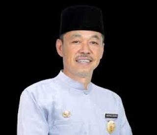 Sudah Surati Perusahaan, Bupati Rohil akan Bertindak Tegas bagi yang Lalai Antipasi Karhutla