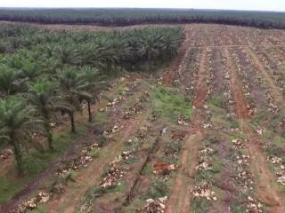 Menunggu Jadwal Verifikasi dari Sucofindo