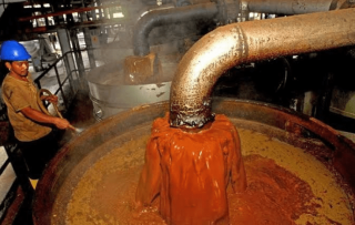 Berlalu juga Jadinya Harga CPO Rp13.000/Kg Berdasarkan Hasil Tender PT KPBN
