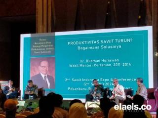 Seharusnya Pemain Utama, tapi Indonesia masih Menjadi Pengikut dalam Industri Sawit