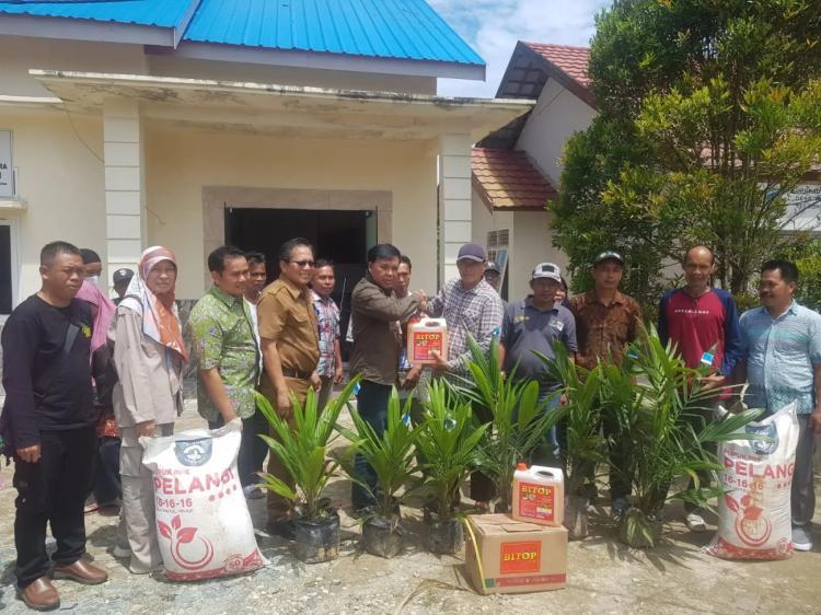 Genjot Kemajuan Daerah, Disbun Kaltim Terus Perkuat Pengembangan Perkebunan Kelapa Sawit