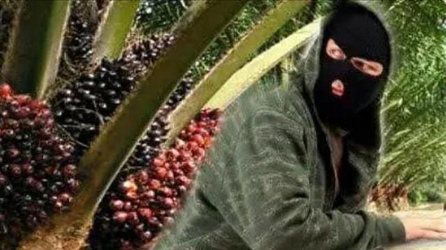 Iya Sanksi Pidana, Iya juga Sanksi Etik