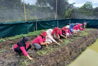 Poktan Ini Berhasil Kembangkan Pembuatan Pupuk Organik Inovatif