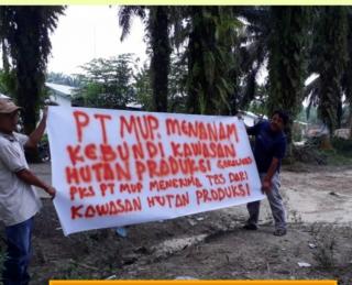Dipertanyakan, Komitmen Bupati Pelalawan Memperjuangkan Hak Masyarakat Adat