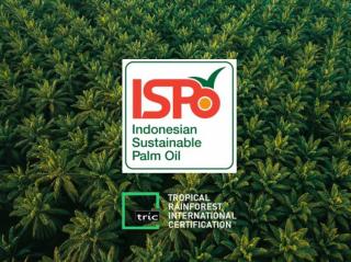 Didorong, Percepatan ISPO di Kalangan Petani Sawit