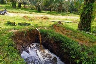 Dijajaki, Pemanfaatan Limbah Cair PKS  sebagai Sumber Energi Baru Terbarukan