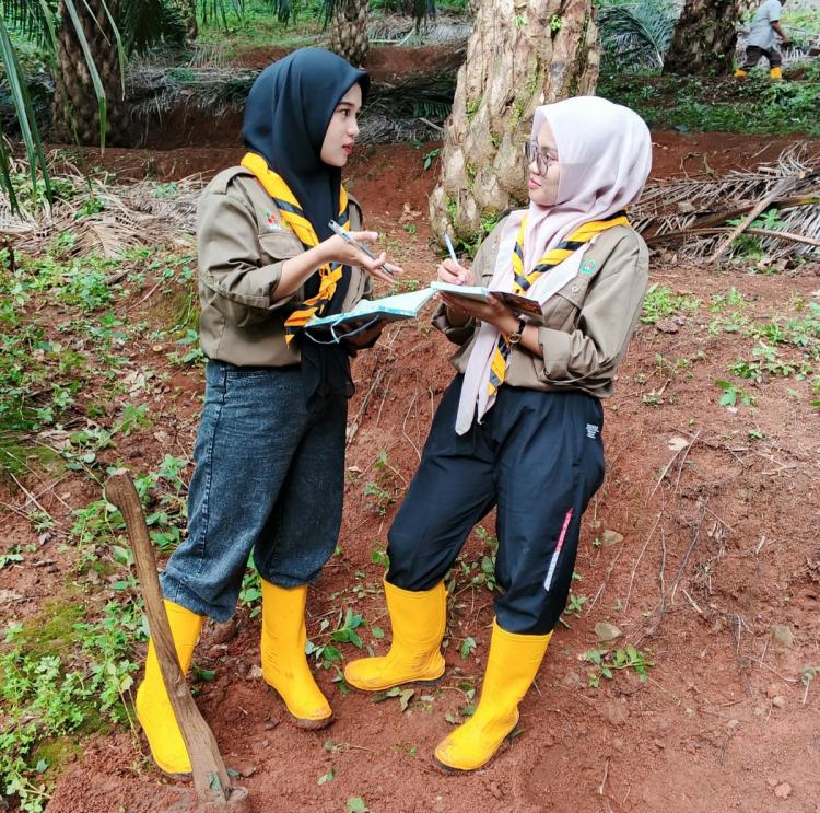 Iseng-iseng Berhadiah: Coba-coba Ikut Tes Program Beasiswa Sawit BPDPKS, Eh, Tidak Tahunya Lulus