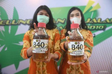 Program Biodiesel B40 Berisiko Mandeg dan Gagal Mencapai Target Nasional Bila...