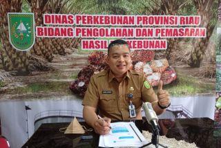 Dipicu CPO dan Kernel, Harga TBS Sawit Mitra Swadaya di Riau juga Ikut Turun