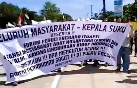 Dikhawatirkan Kerusakan Ekologis Terus Meluas, Masyarakat Adat di Daerah Ini Tolak Perkebunan Sawit