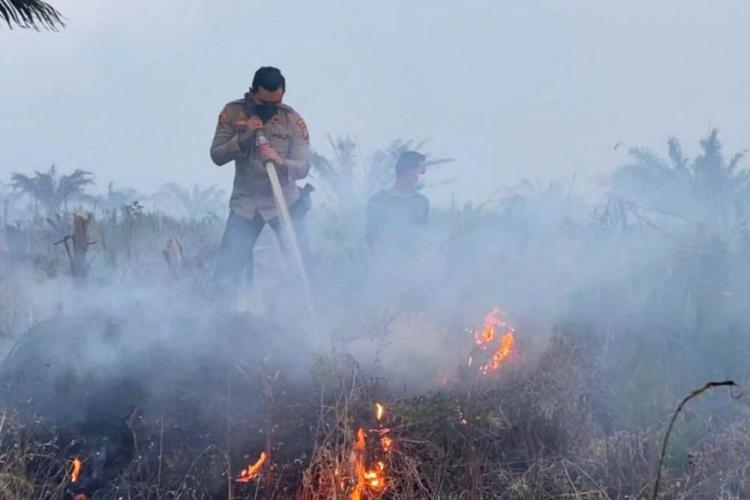Karhutla 2025 Turun 11 Ribu Hektar, Menhut: Capaian Ini Tidak Datang Tiba-tiba