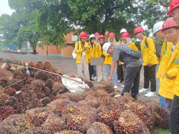 Mahasiswa Unilak Pekanbaru Kunjungi PKS Milik PTPN IV Regional III, Ditutup dengan Sesi Diskusi Interaktif