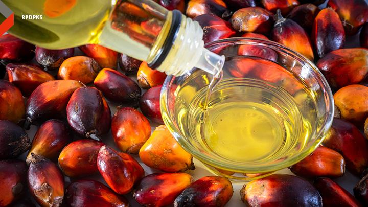 Secercah Harapan dari Hasil Penelitian Tim Undip