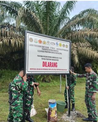 Penertiban Kawasan Hutan Upaya Pemerintah Mendukung Pembangunan Jangka Panjang Berkelanjutan