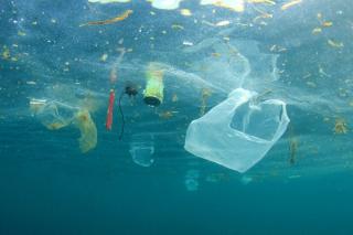 Cadangan Biomassa Melimpah, Indonesia Berpeluang Besar Jadi Pemain Utama Industri Bioplastik Global