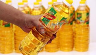 Pakar Ungkap Minyak Sawit Kaya Antioksidan yang Mampu Melawan Radikal Bebas