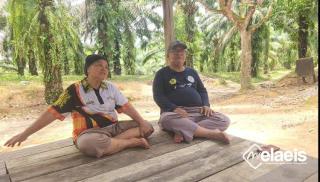 Modal Nekad di Tengah Konflik