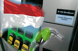 B50 Bukan Sekadar Angka, tapi Loncatan Besar Menuju Energi Ramah Lingkungan 
