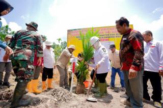 Disetujui BPDP, Kegiatan PSR Sudah Dilakukan di Lahan Anggota Poktan Segoromas Bengkalis