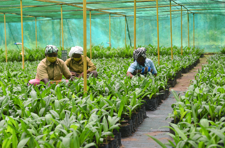 Kementan: Pendidikan Vokasi Mampu Mencetak Petani Milenial Berdaya Saing Tinggi
