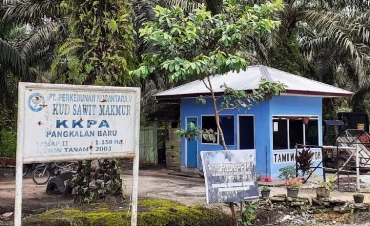Benahi Keruwetan Sawit, INDEF Rekomendasikan 3 Langkah Strategis