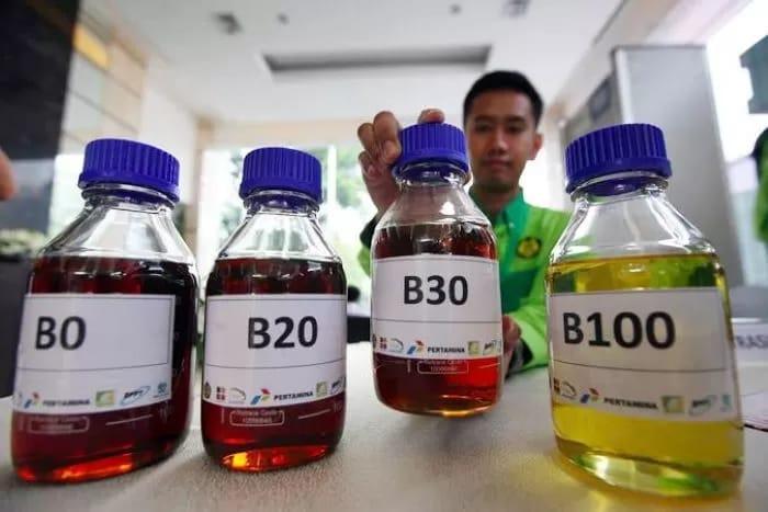 CPOPC: Beberapa Pihak Luar Sudah Memberi Sinyal Agar Indonesia Menunda B50