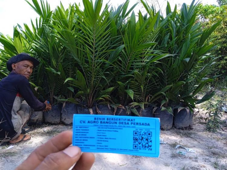 Ini Syarat Industri Sawit Indonesia Bisa Lebih Hijau, Berkelanjutan, dan Berdaya Saing Global Versi Kementan