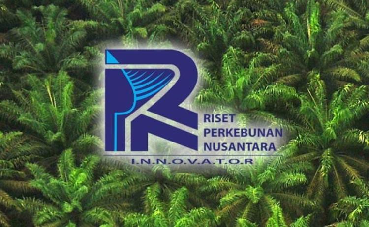 Perkuat Riset, Upaya PT RPN Menjawab Tantangan Efisiensi, Produktivitas, dan Keberlanjutan Sektor Perkebunan 
