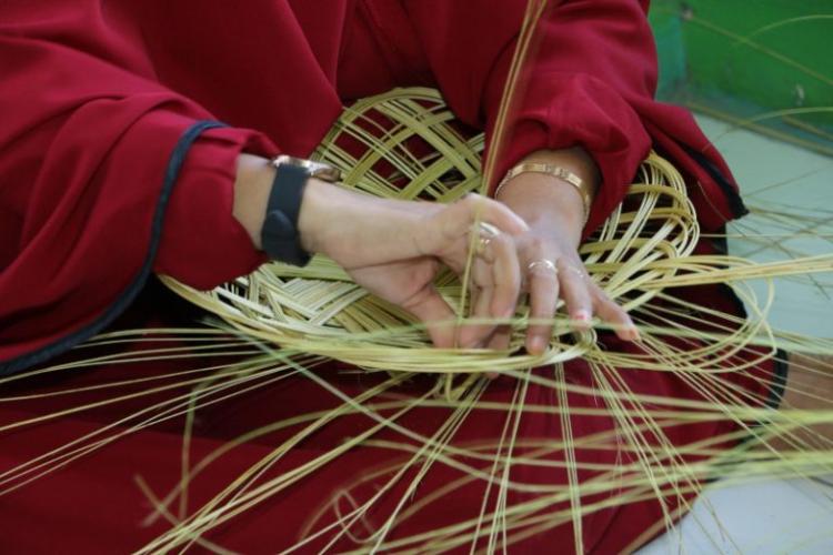 Petani di Bengkalis Dilatih Mengolah Limbah Kelapa Sawit Menjadi Bernilai Ekonomi