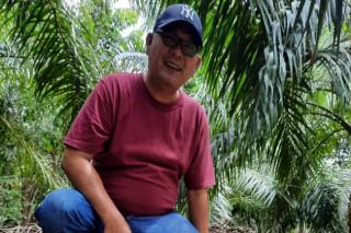 Harga Sawit di Sumut Relatif Stabil, Eh, Angka Produksi Belum juga Membaik