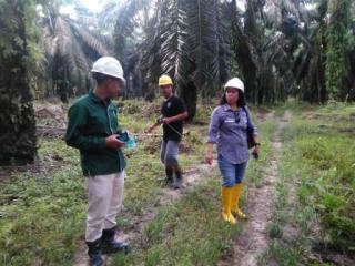Tidak Lagi Terisolasi, Kebun Sawit di Jambi Kini Diselimuti Sinyal Kuat Telkomsel   