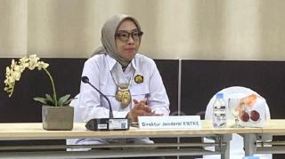 Sejumlah Lembaga Riset Internasional Menilai Target Penerapan B50 pada 2026 Tidak Mudah Dicapai