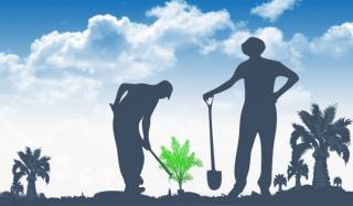 APKASINDO: Lebih dari 2,89 Juta Petani Kecil Belum Tersentuh Program Pendanaan dari BPDP