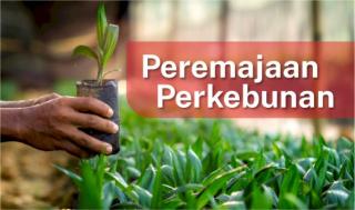 Pengin ikut PSR Lewat Jalur Kemitraan? Nih, Ada Beberapa Hal Penting yang Harus Diperhatikan 