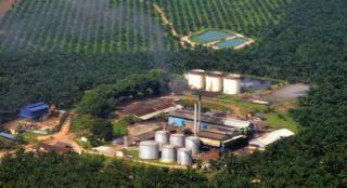 GAPKI Pastikan Siap Hadapi EUDR, Eddy Martono: Setelah 31 Desember 2020 Tidak Lagi Membuka Lahan Baru