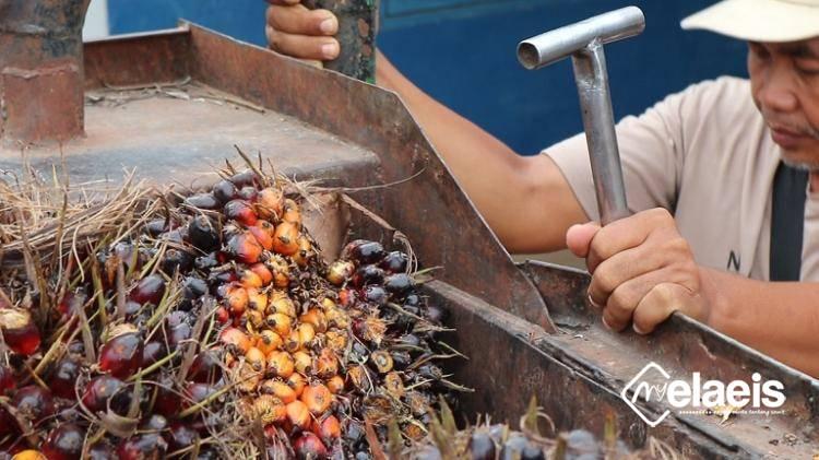 Peran Ganda Ahmad Misri