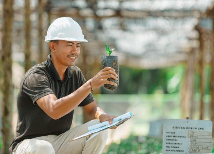 Dalam Tiga Tahun Terakhir, Segini PTPN IV Regional IV Menyerap Tenaga Kerja Lokal