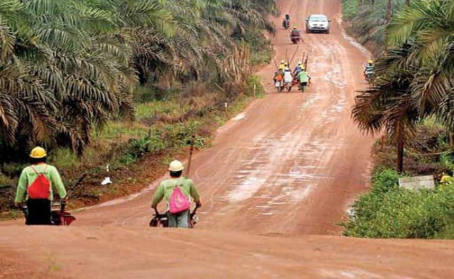 Soal Ketentuan Plasma 20 Persen, Apkasindo Kaltim Minta Pemerintah Bersikap Tegas
