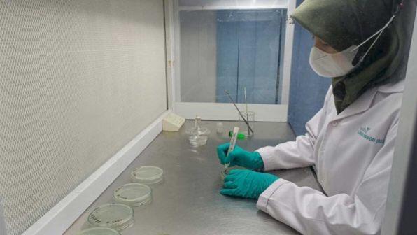 55 Proposal Dinyatakan Lolos dalam Seleksi Grant Riset Sawit 2025