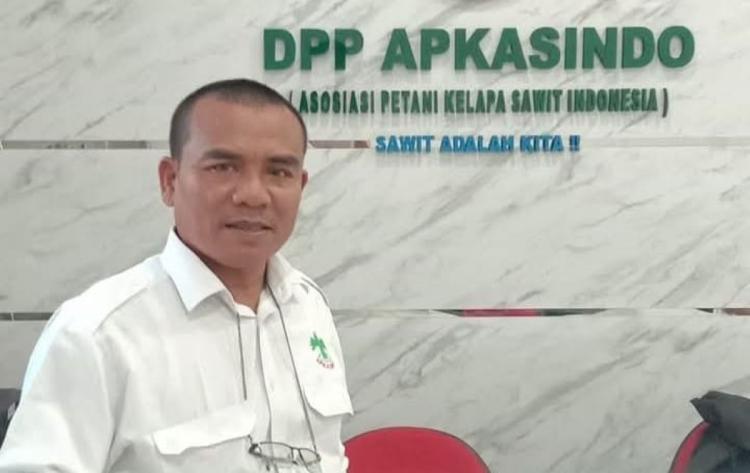 Anggota Poktan Ini Tanam Padi Gogo di Kebun Sawitnya, Apkasindo Berharap Bisa Memberi Penghasilan Tambahan