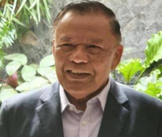 Harga Sawit Turun Tipis di Jambi, Apkasindo: Masih Amanlah untuk Petani